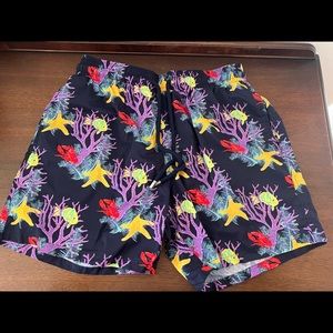 Vilebrequin swimming trunks